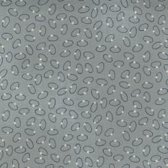 Astra Comet Hubble Meterware