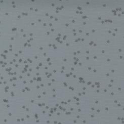 Modern BG Even More Steel Meterware