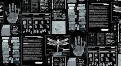 Sleuth Gumshoe Microfiche 