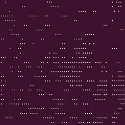 Sleuth Dottie Ecchymosis 