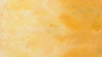 Sky #007 Ombre Honey Meterware