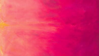 Sky #025 Ombre Peony Meterware