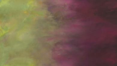 Sky #028 Ombre Eggplant Meterware