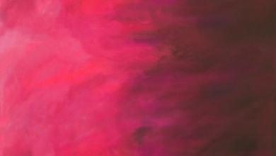 Sky #049 Ombre Pomegranate Meterware