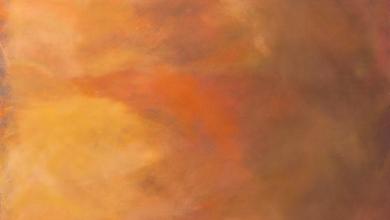 Sky #005 Ombre Chestnut Meterware