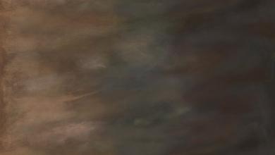 Sky #001 Ombre Bison Meterware