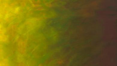 Sky #017 Ombre Pistachio Meterware