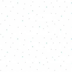 Hush Hush Heart Attack 