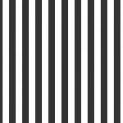 Stripe 1/2 Inch Color Black 