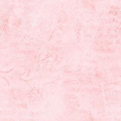 ColorStock Stamps Blush 