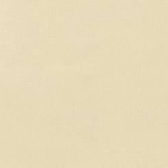 Kona® Cotton Champange 