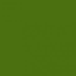 Kona® Cotton Grass Green 