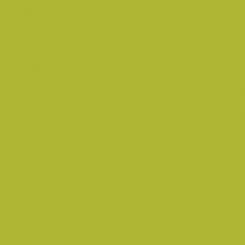 Kona® Cotton Cactus 