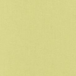 Kona® Cotton Zucchini 