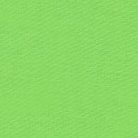 Kona® Cotton Parrot 