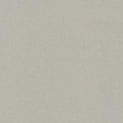 Kona® Cotton Shitake 