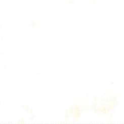 Grunge Eggshell Meterware