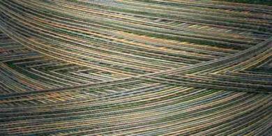 King Tut Caravan Quilting Thread 500y 