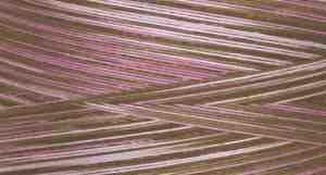 King Tut Valley Of The Queens Quilting Thread 500y 