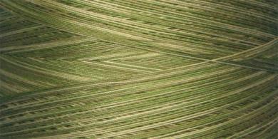 King Tut Green Olives Quilting Thread 500y 