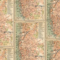 Orange - Map || Tim Holtz Palette Orange Meterware