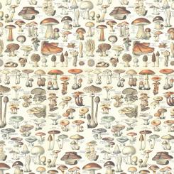 Orange - Toadstools || Tim Holtz Palette Orange Meterware