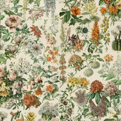 Orange - Botanical || Tim Holtz Palette Orange Meterware