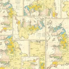 Yellow Map || Tim Holtz Palette Yellow Meterware