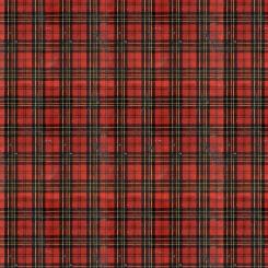 Christmas Worn Plaid || Tim Holtz Palette Seasonal Meterware