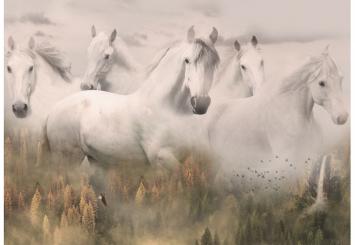 Dawn Wild Horse Digital Panel