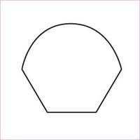 Hexagon Flower Petal 1'' | 100 Papers