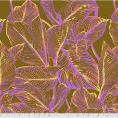 Canna - Toffee Meterware