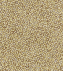 shimmer Tiny Dots Desert Sand Meterware