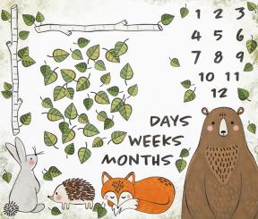 Forest Animals Days Weeks Months Panel