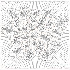 Dream Big with Central Part West Tear Away 