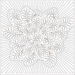 Dream Big with Vivaldi Tear Away 