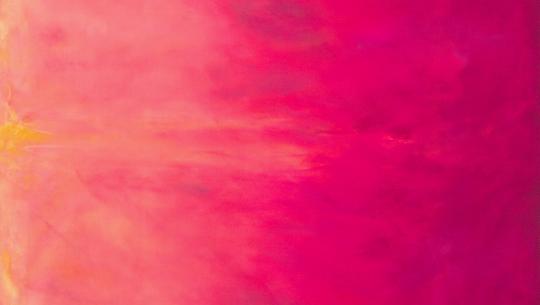 Sky #025 Ombre Peony Meterware