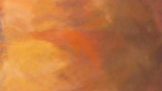 Sky #005 Ombre Chestnut Meterware