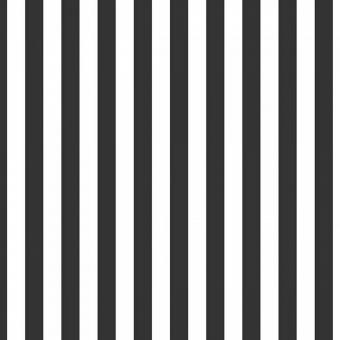 Stripe 1/2 Inch Color Black 