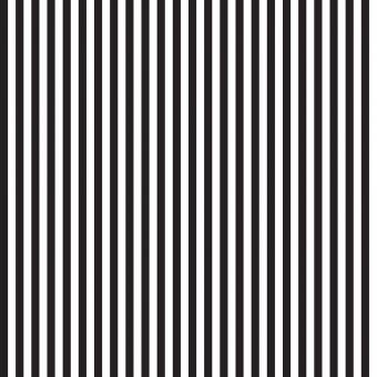 Stripe 1/4 Inch Color Black 