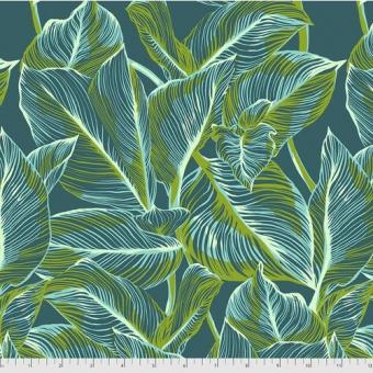 Canna - Jade Meterware