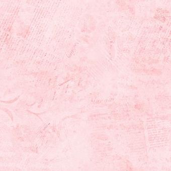 ColorStock Stamps Blush 