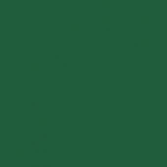 Kona® Cotton Holly 
