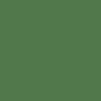 Kona® Cotton Old Green 