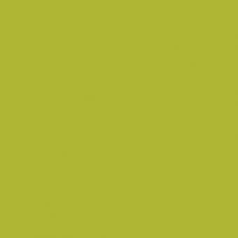 Kona® Cotton Cactus 