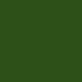 Kona® Cotton Palm 