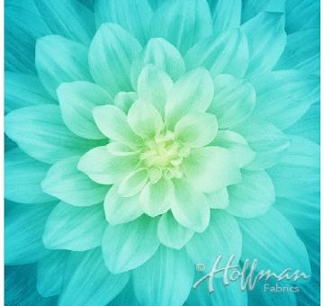 Dream Big Flower Tidepool Panel