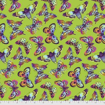 Butterfly Kisses - Avocado Meterware