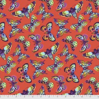 Butterfly Kisses - Papaya Meterware