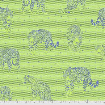 Lil Jaguars - Kiwi Meterware